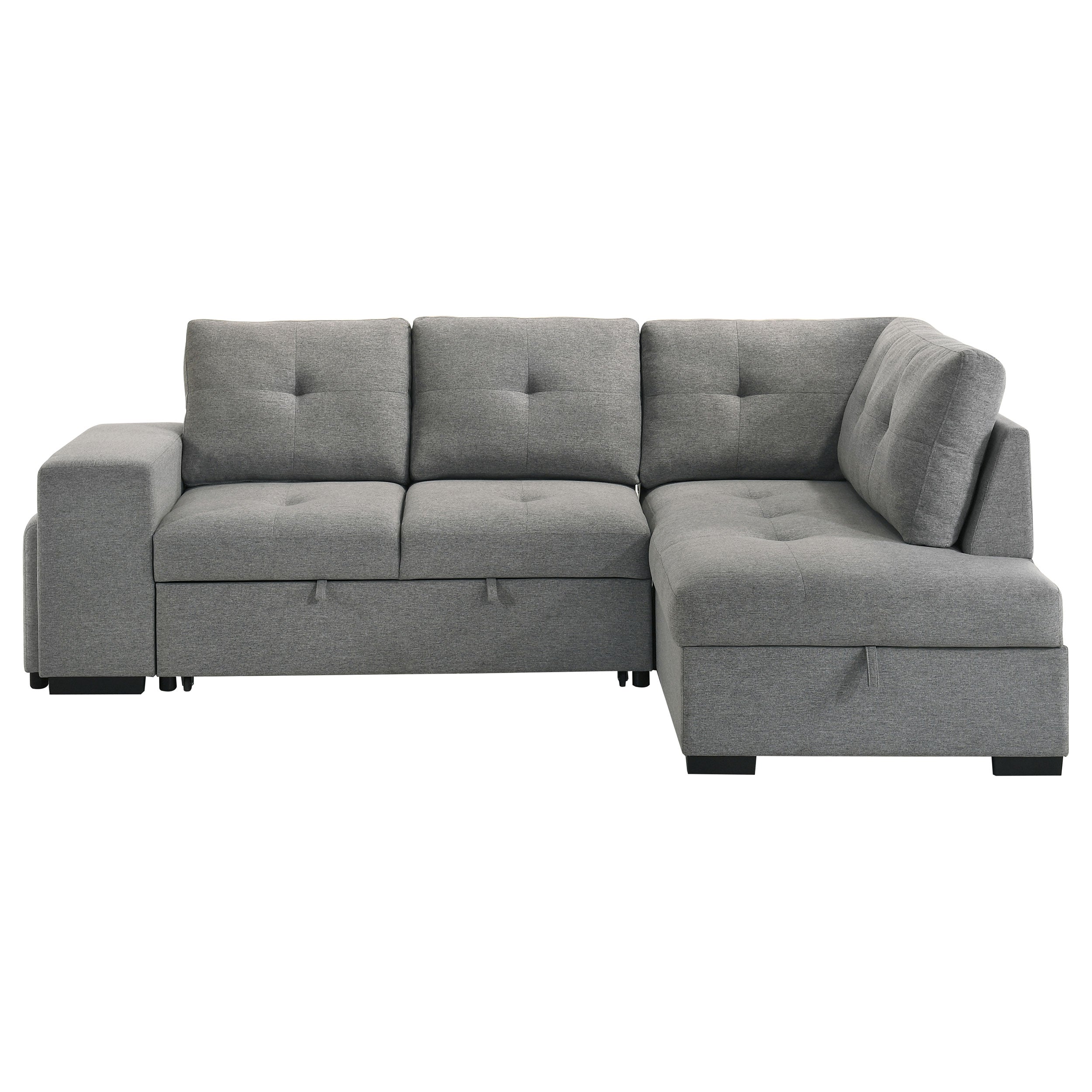 Roanne Pull-Out Sleeper Sectional Sofa