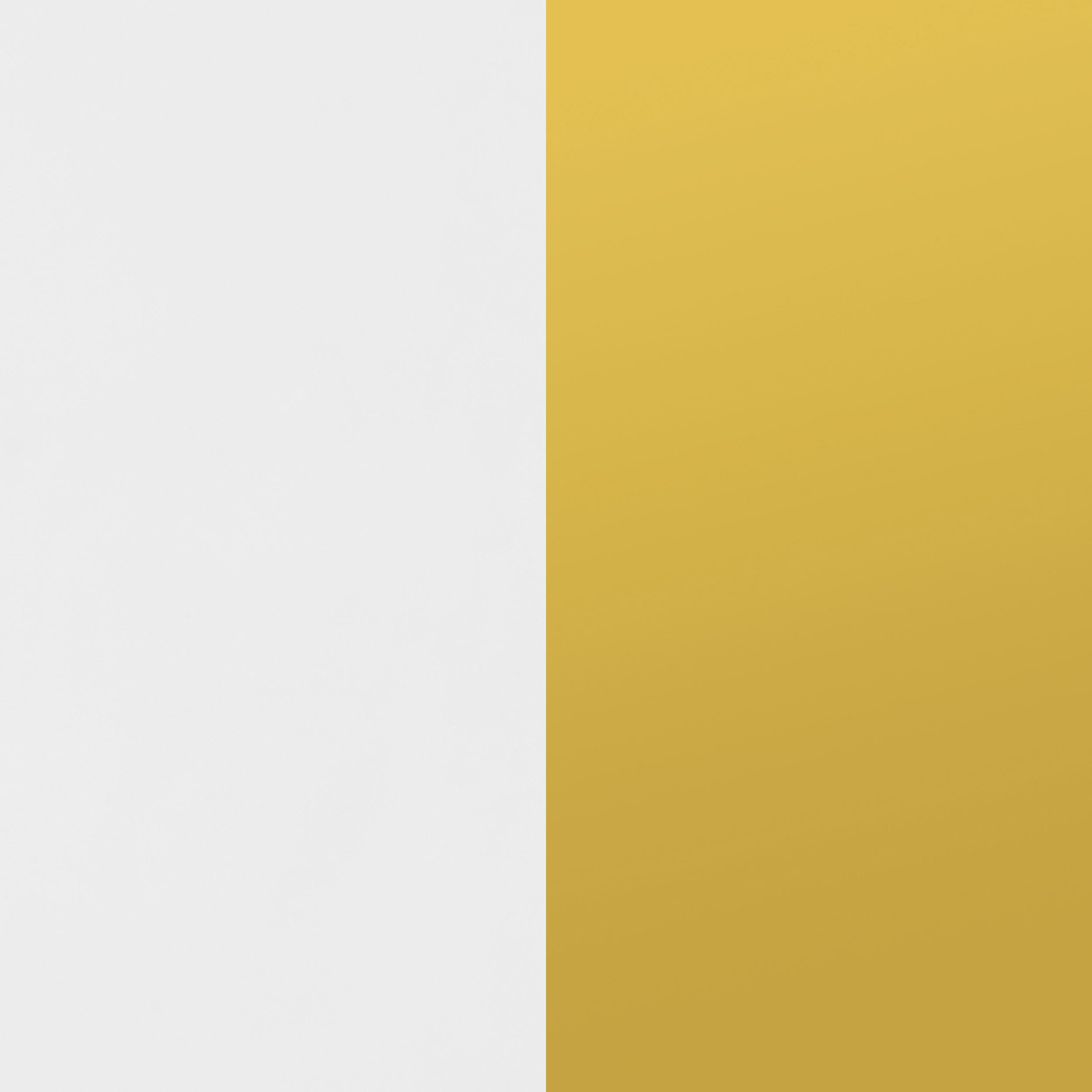 Elsa 2-door Accent Cabinet with Adjustable Shelves White and Gold