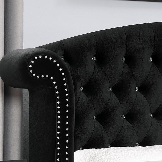 Zohar Bed Black & Pink