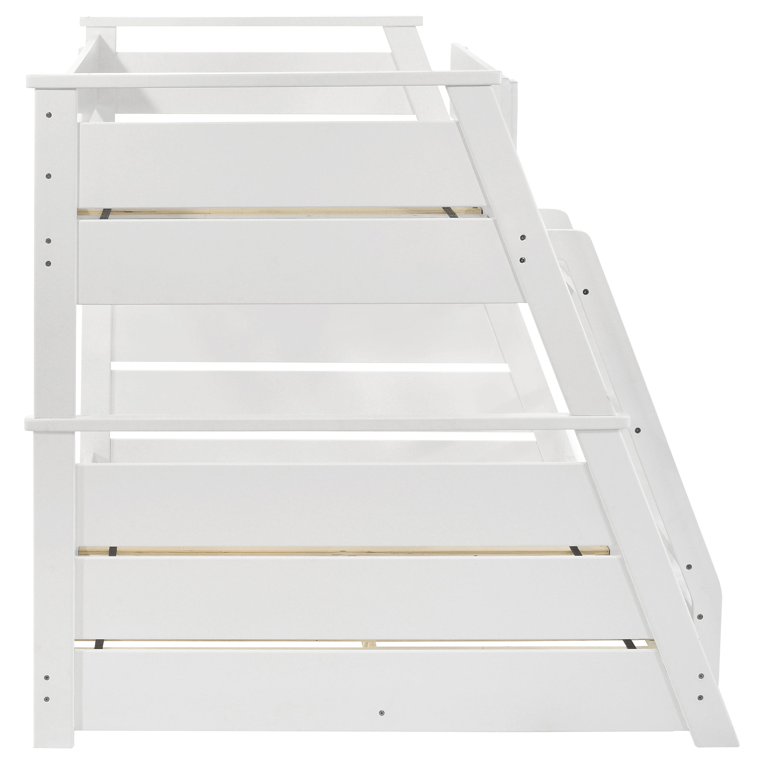 Holden Bunk Beds